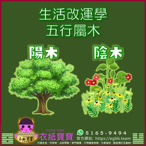 屬木的飾品|【五行屬木的東西】快來解鎖！五行屬木之物大揭密